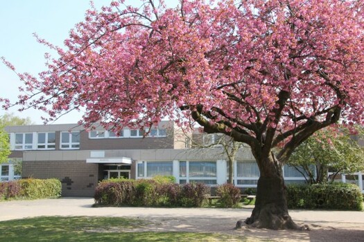 Albert-Schweitzer-Schule