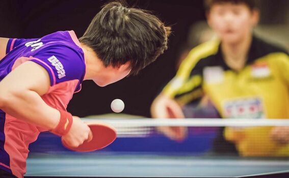 Krokofit - Tischtennis