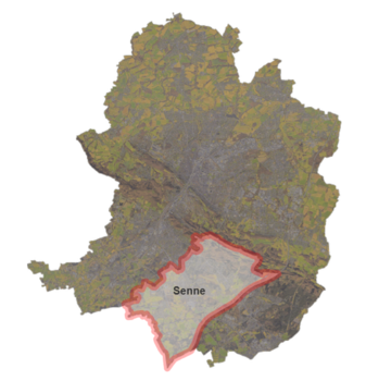 Senne